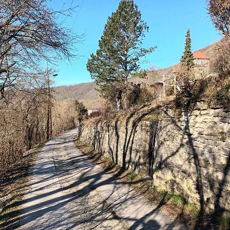 Ferienwohnung Naumburgliebe Naumburg  Zewnętrze zdjęcie