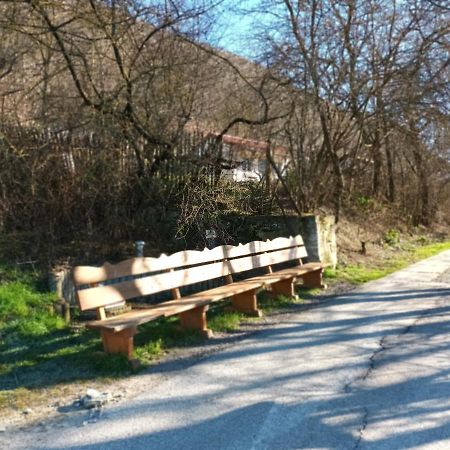 Ferienwohnung Naumburgliebe Naumburg  Zewnętrze zdjęcie