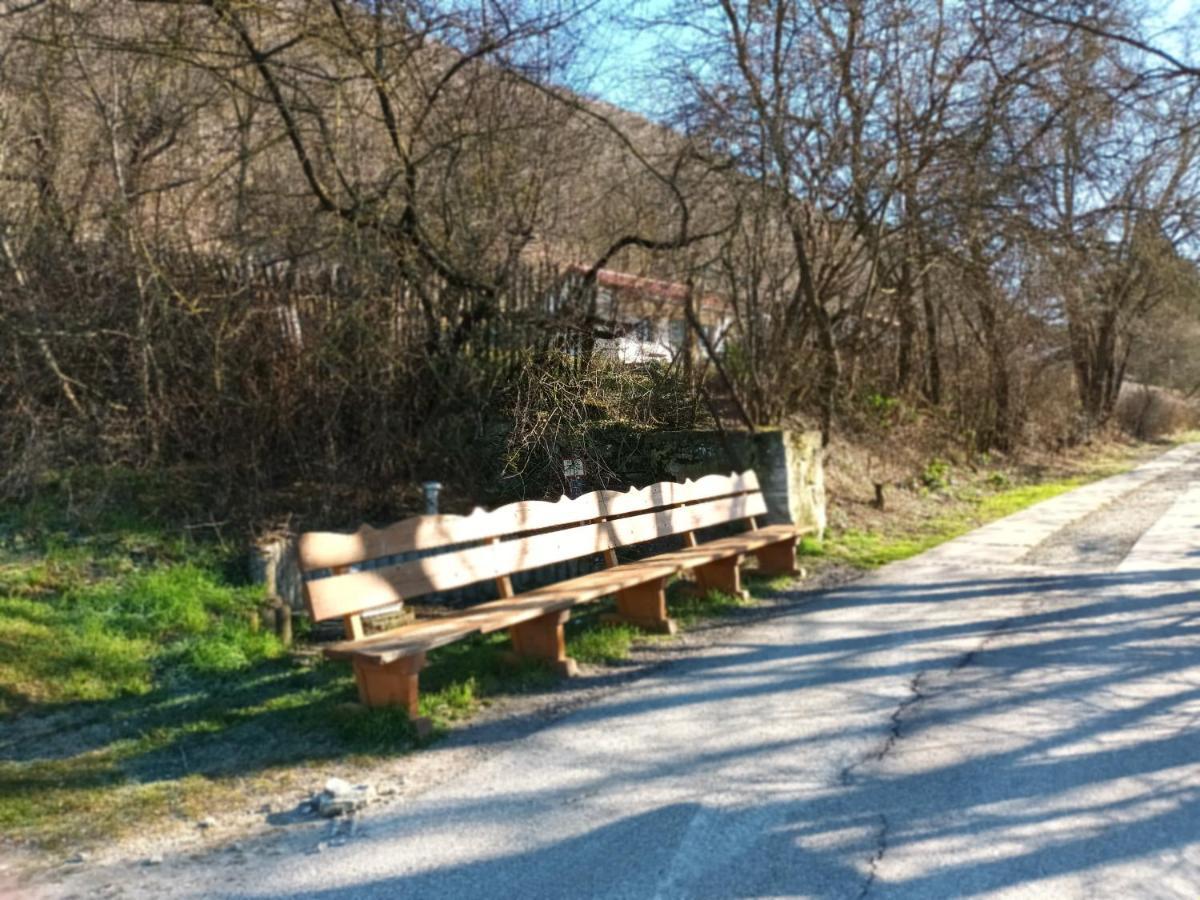 Ferienwohnung Naumburgliebe Naumburg  Zewnętrze zdjęcie