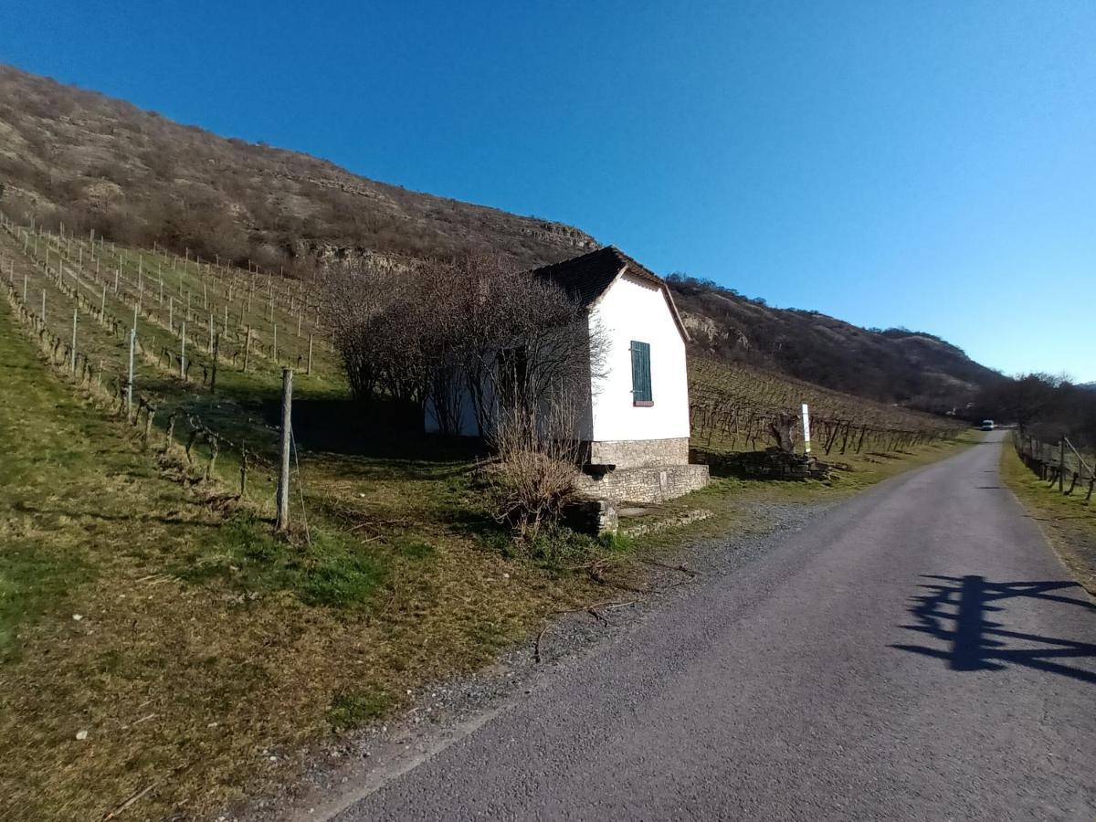 Ferienwohnung Naumburgliebe Naumburg  Zewnętrze zdjęcie